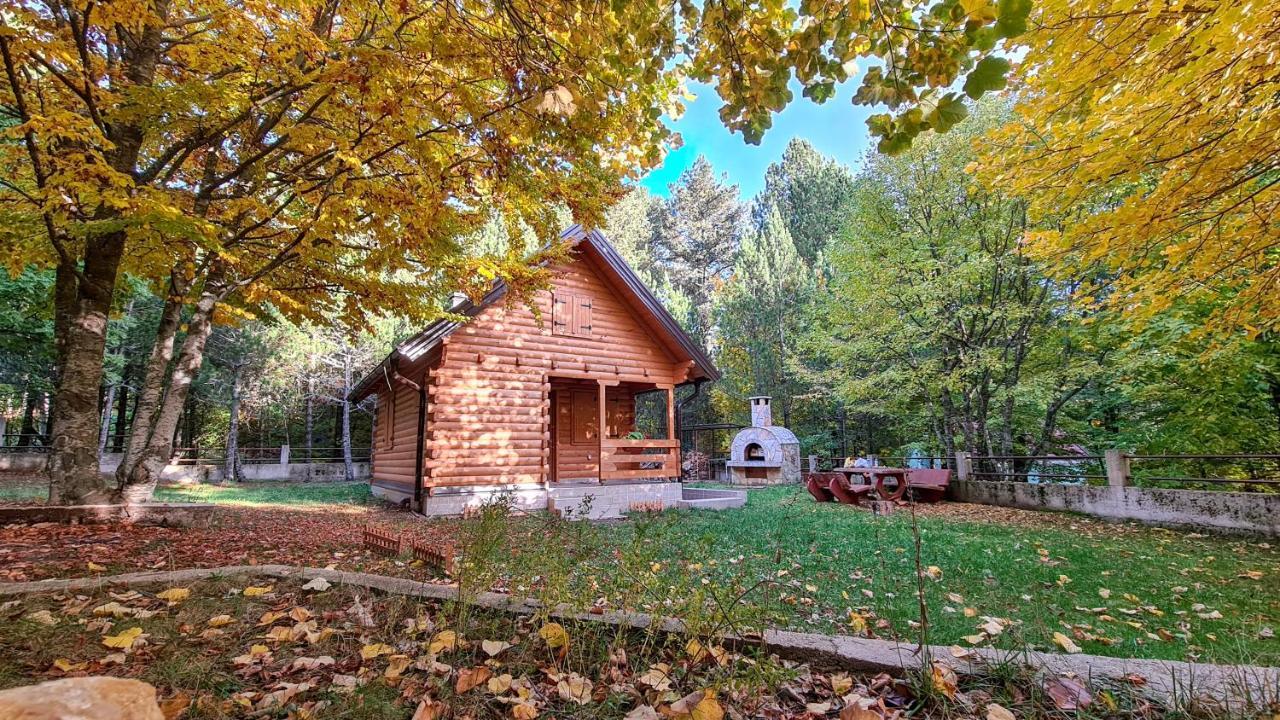מוסטר Cabin House Hidden Nest מראה חיצוני תמונה