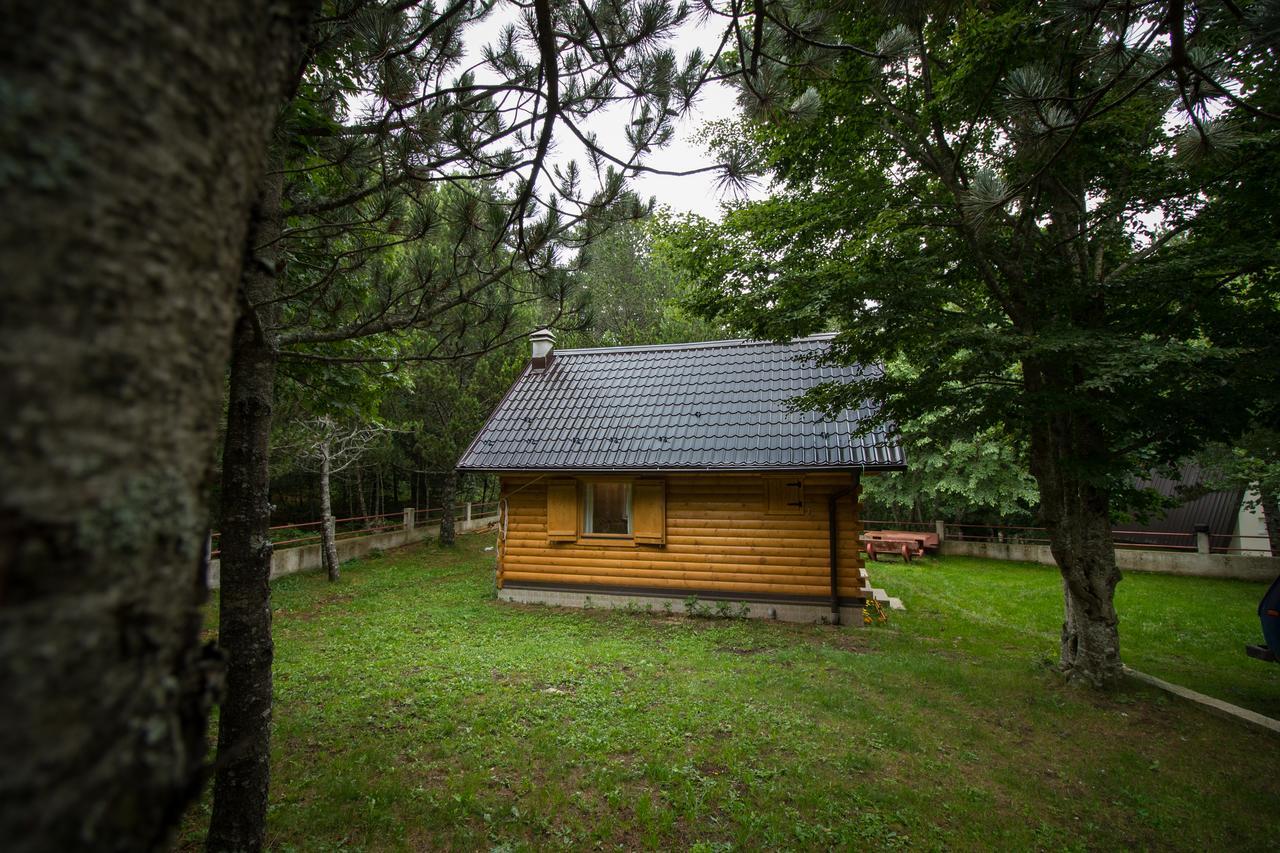 מוסטר Cabin House Hidden Nest מראה חיצוני תמונה